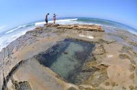 Torrey Pines Reserve Flat Rock�